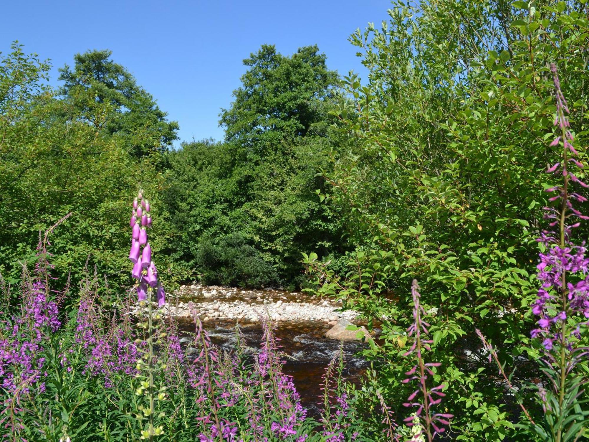 Battanropie Lodge Carrbridge Exterior foto